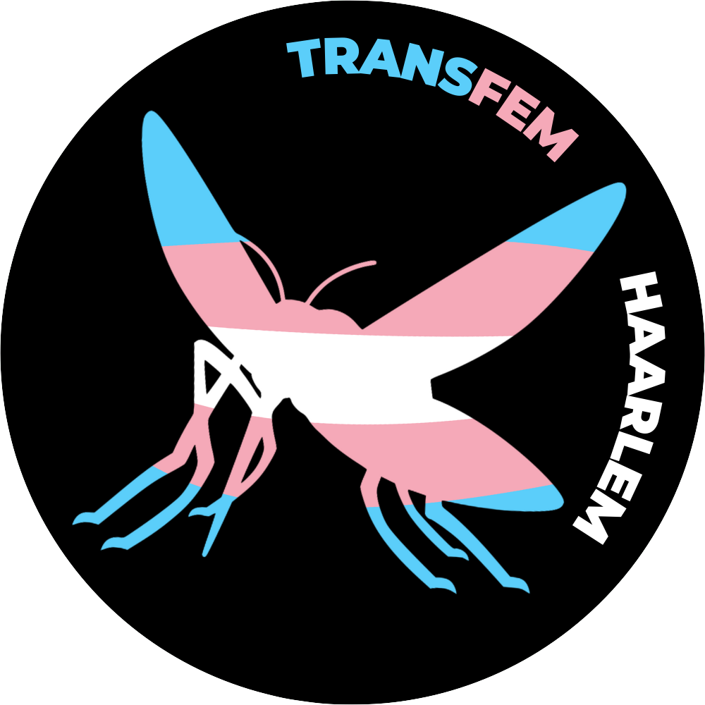 Transfem Haarlem